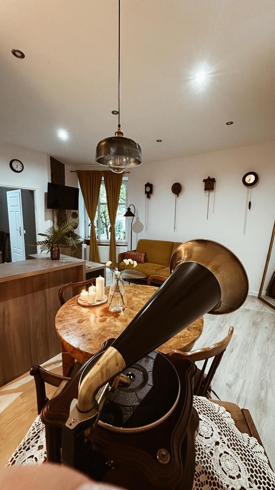 Slovak Apartment City Center カトヴィツェ エクステリア 写真